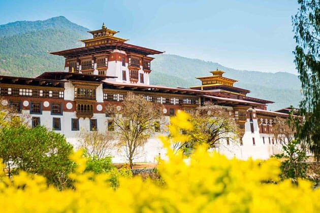 Punakha Dzong - the happiness palace