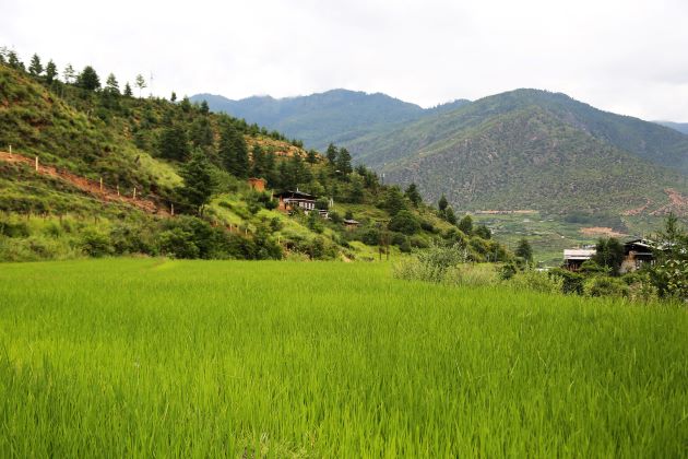 local village in bhutan