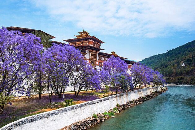stunning Punakha Dzong best spot in Bhutan classic holiday packages