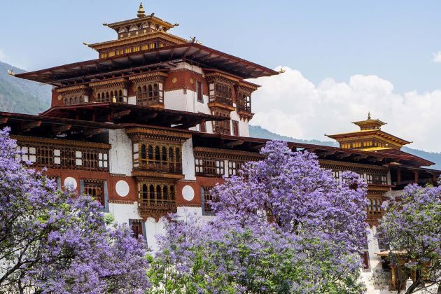 visit punakha dzong in bhutan