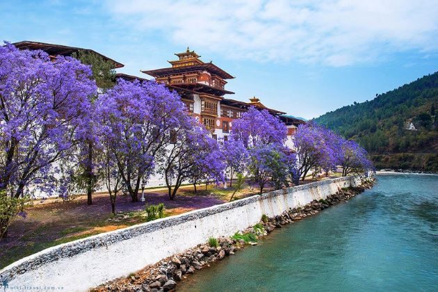 visit punakha dzong with family